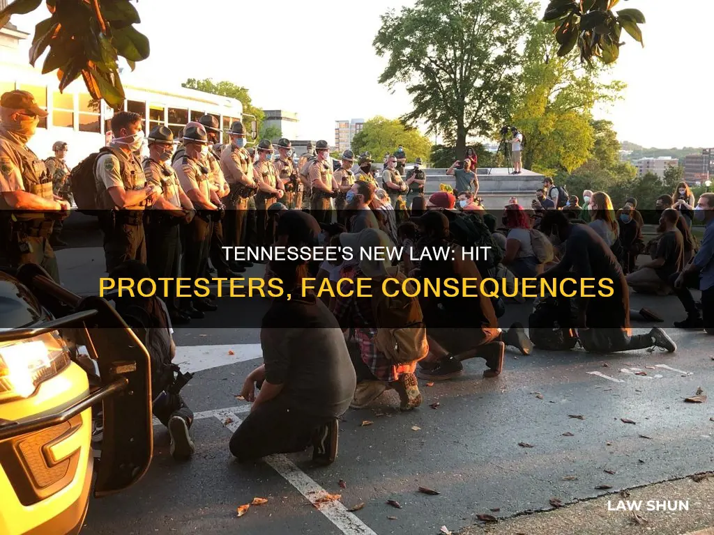 did tennessee pass a law that you can hit protesters