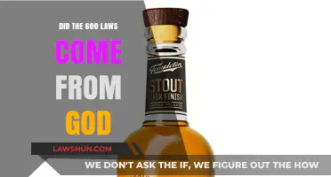 Did the 600 Laws Originate from Divine Revelation or Human Creation?