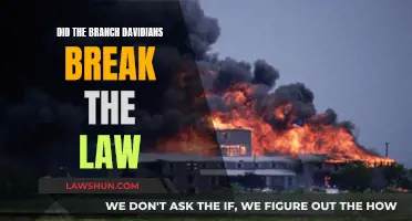 The Branch Davidians: Lawbreakers or Victims of Persecution?