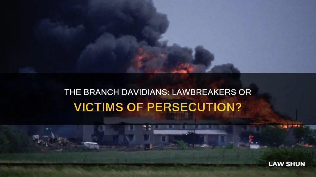 did the branch davidians break the law