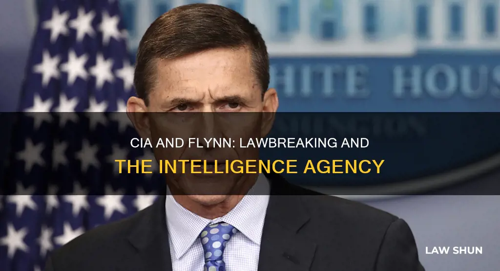 did the cia break the law with flynn