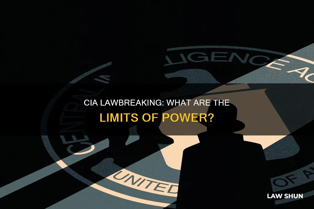 did the cia break the law