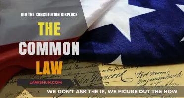 The Constitution and Common Law: Displacement or Coexistence?
