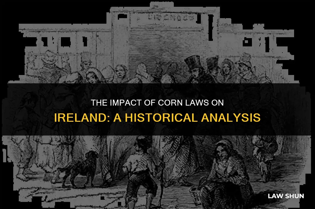 did the corn laws hurt ireland