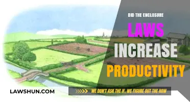 Boosting Efficiency: The Impact of Enclosure Laws on Agricultural Productivity