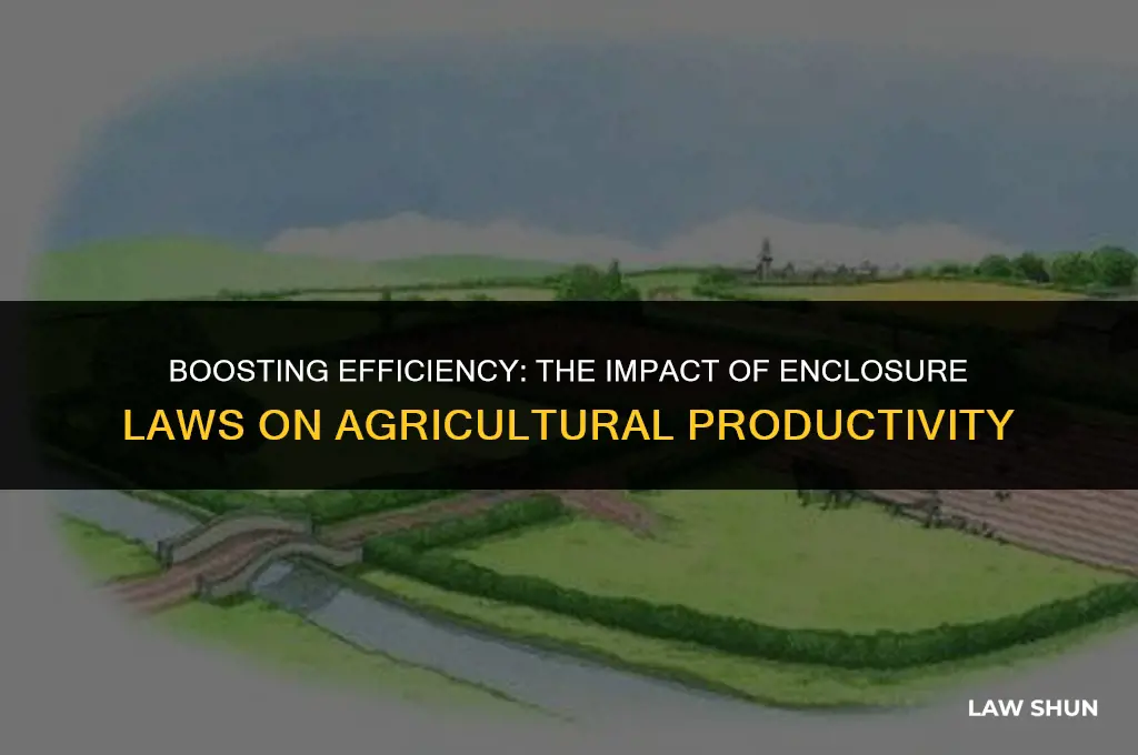 did the enclosure laws increase productivity