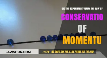 Experiment Confirms: Law of Conservation of Momentum Proven Accurate