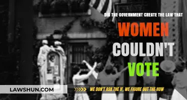 Who Made the Law? Women's Suffrage and Government
