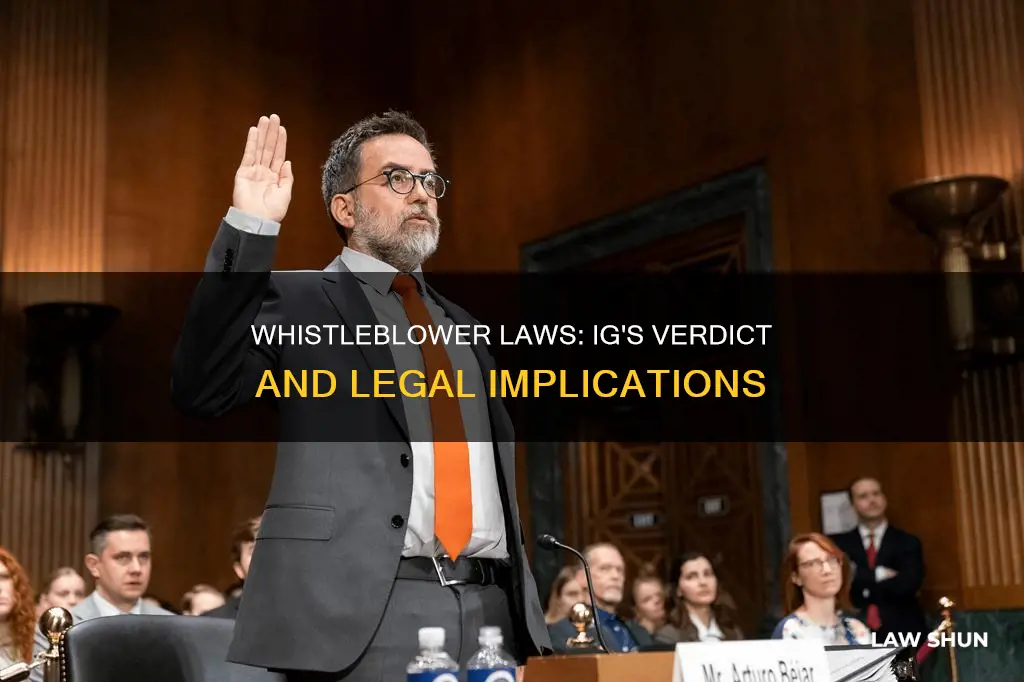 did the ig say the whistleblower break any laws