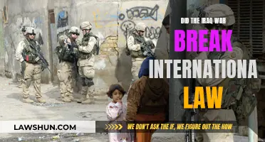 Iraq War: International Law Violation or Justification?