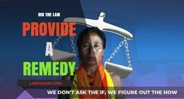 Legal Remedies: Exploring the Law's Response to Injustice
