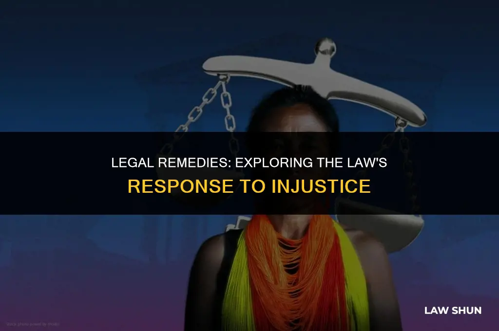 did the law provide a remedy
