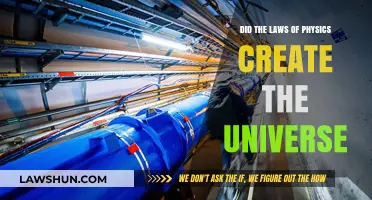 How Physics Laws Shaped the Universe