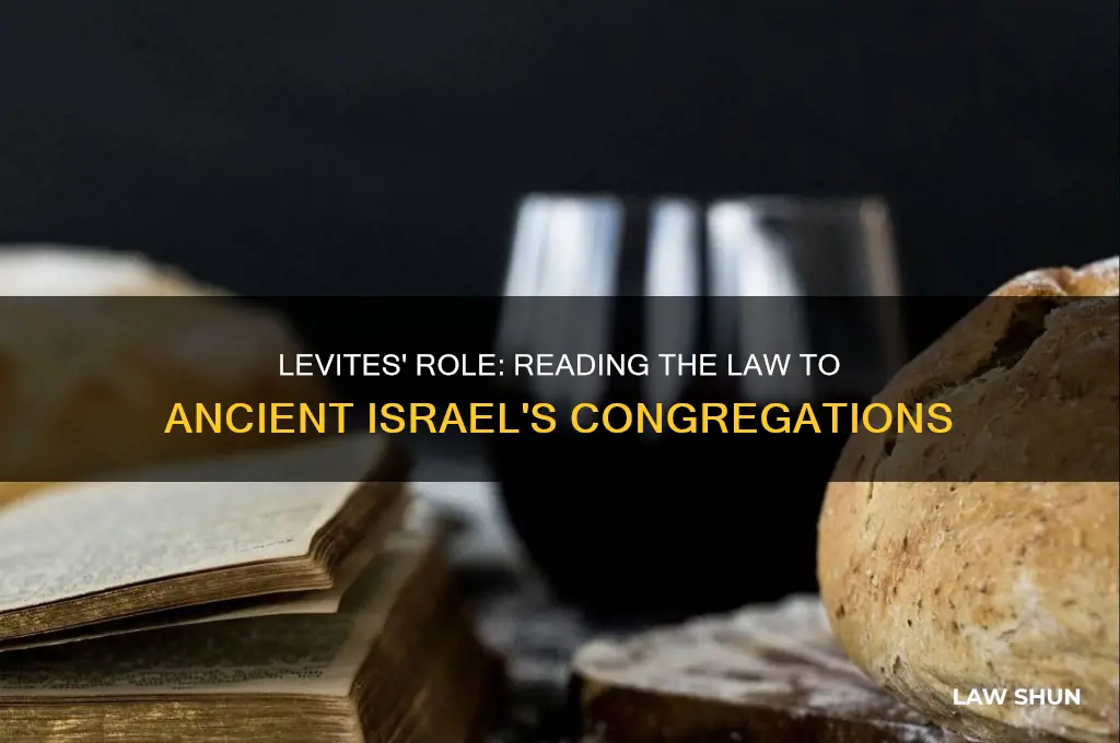 did the levites read the law to the people