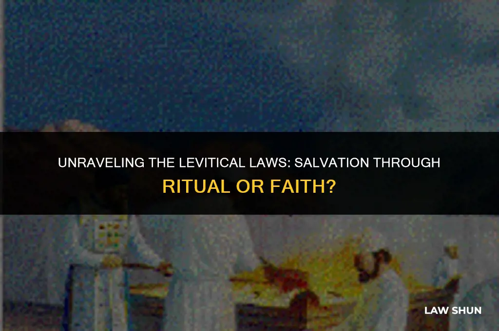 did the levitical laws provide salvation