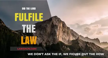 Did the Lord Fulfill the Law? A Theological Exploration