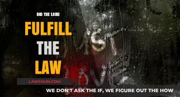 Did the Lord Fulfill the Law? A Theological Exploration