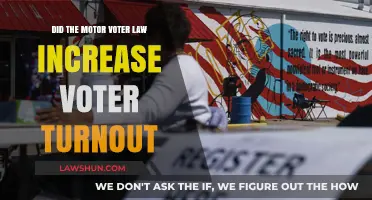 Motor Voter Law Impact: Did It Boost Voter Turnout?