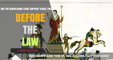 Napoleonic Code: Did It Truly Uphold Legal Equality for All?
