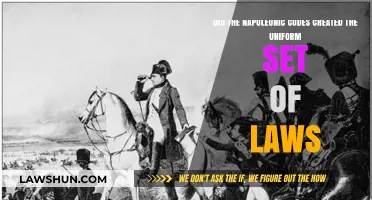 Napoleonic Codes: A Unified Legal Legacy