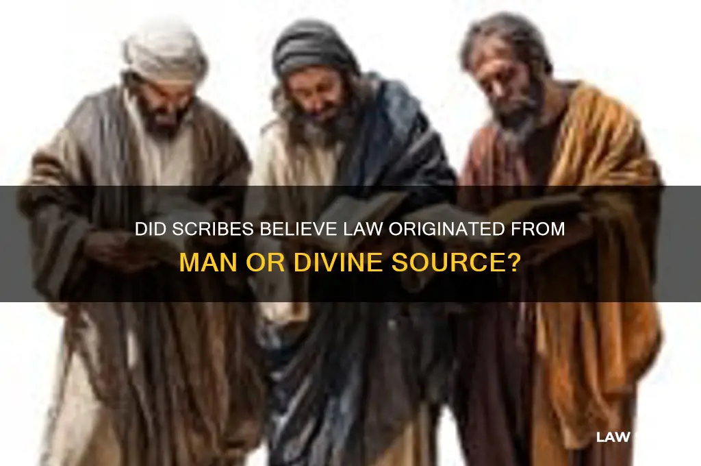 did the scribes believe that the law came from man