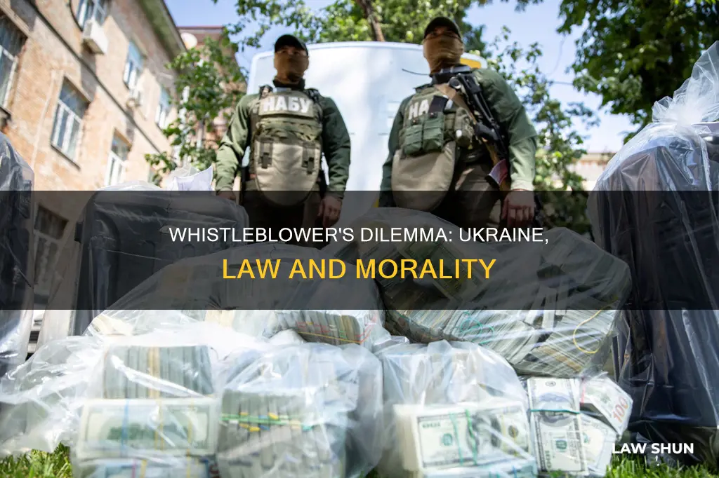 did the ukraine whistleblower break the law