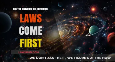 The Laws of the Universe: Which Came First?