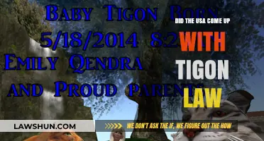 Did the USA Create Tigon Law? Unraveling the Legal Origins