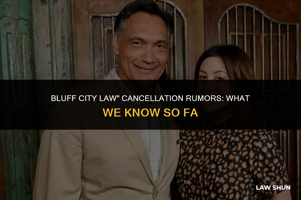 did they cancel bluff city law