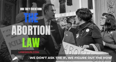 Abortion Law Overturned: What Does This Mean for America?