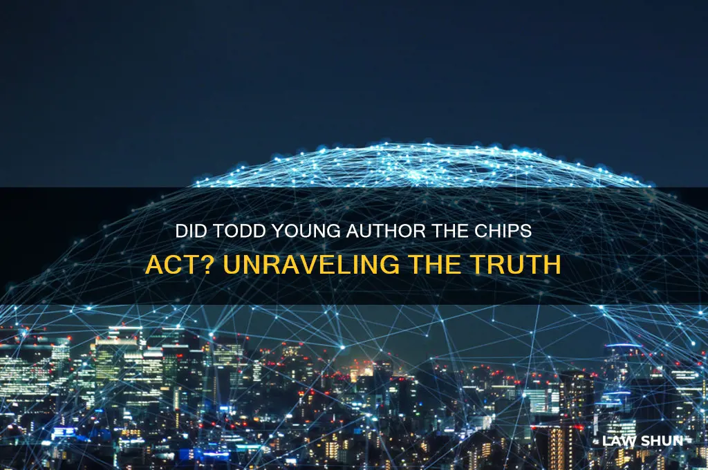 did todd young write the chip law