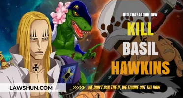 One Piece Theories: Trafalgar Law's Role in Basil Hawkins' Demise