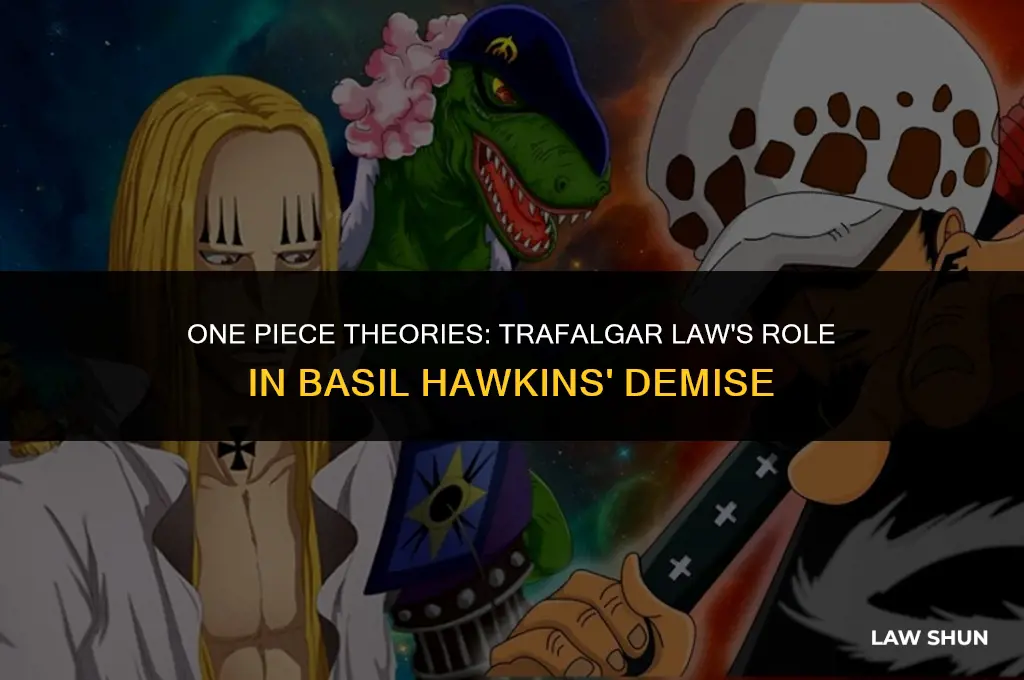 did trafalgar law kill basil hawkins