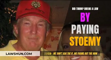 Trump's Stormy Daniels Payment: Legal or Illegal?