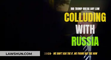 Trump-Russia Collusion: Any Laws Broken?