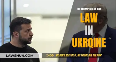 Trump's Ukraine Actions: Lawful or Not?