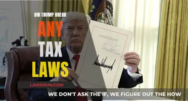 Trump's Tax Returns: Lawful or Lawless?