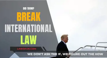 Trump's Actions: International Law Violation?