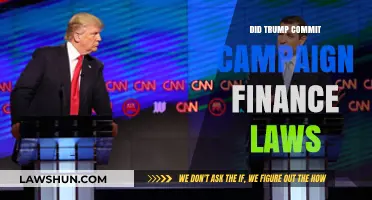 Examining Allegations of Campaign Finance Violations by Donald Trump