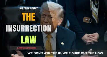 Trump and the Insurrection Act: A Detailed Examination