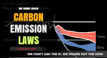 Trump's Environmental Legacy: A Closer Look at Carbon Emission Regulations