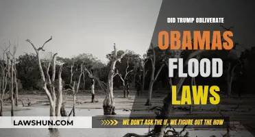 Trump's Rollback: A Critical Look at Changes to Obama's Flood Laws