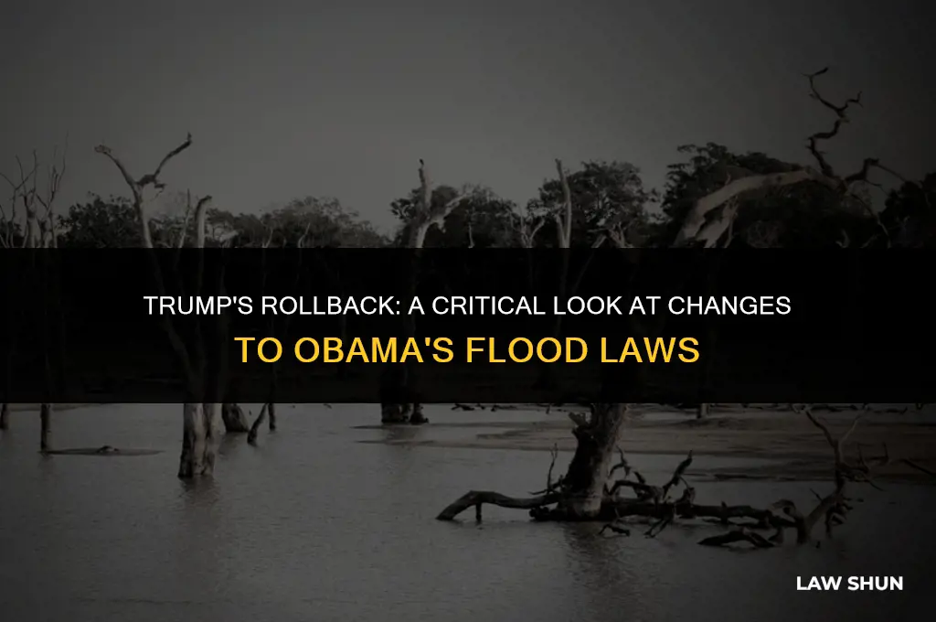 did trump obliverate obamas flood laws