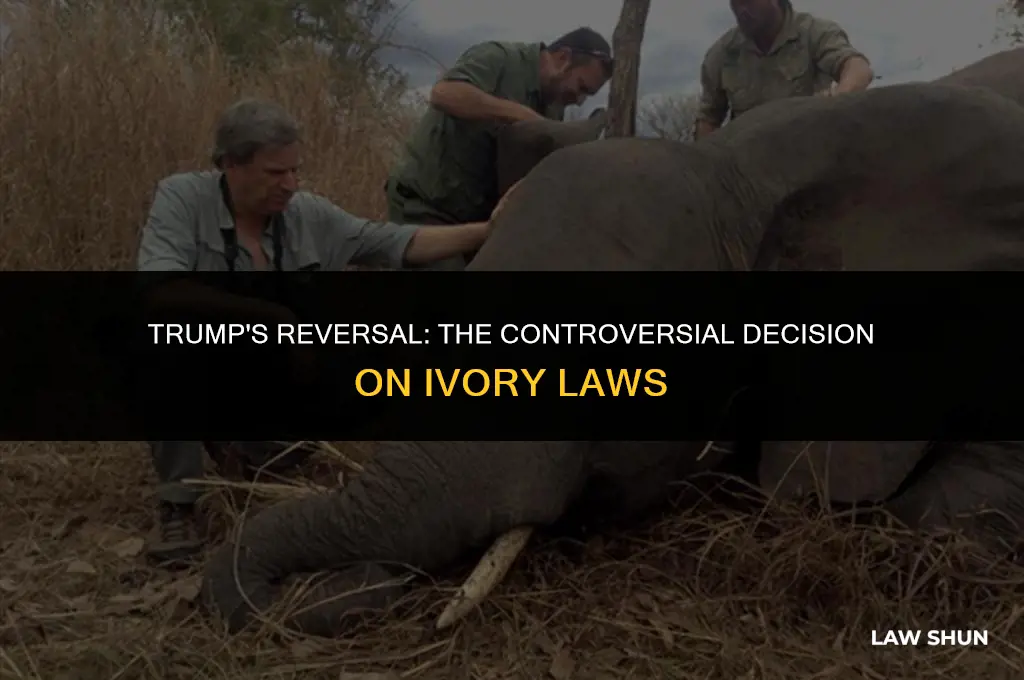 did trump resind the ivory laws