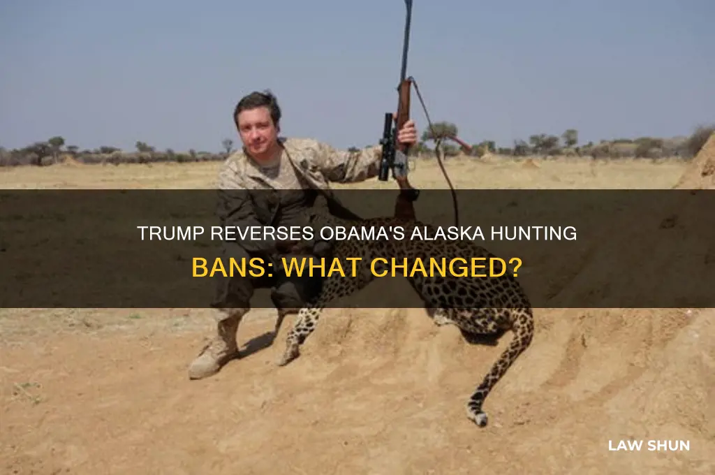 did trump reverse obama law about hunting bwars in alaska
