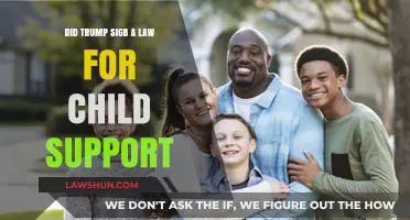 Trump's Child Support Law: Fact-Checking the Signed Legislation