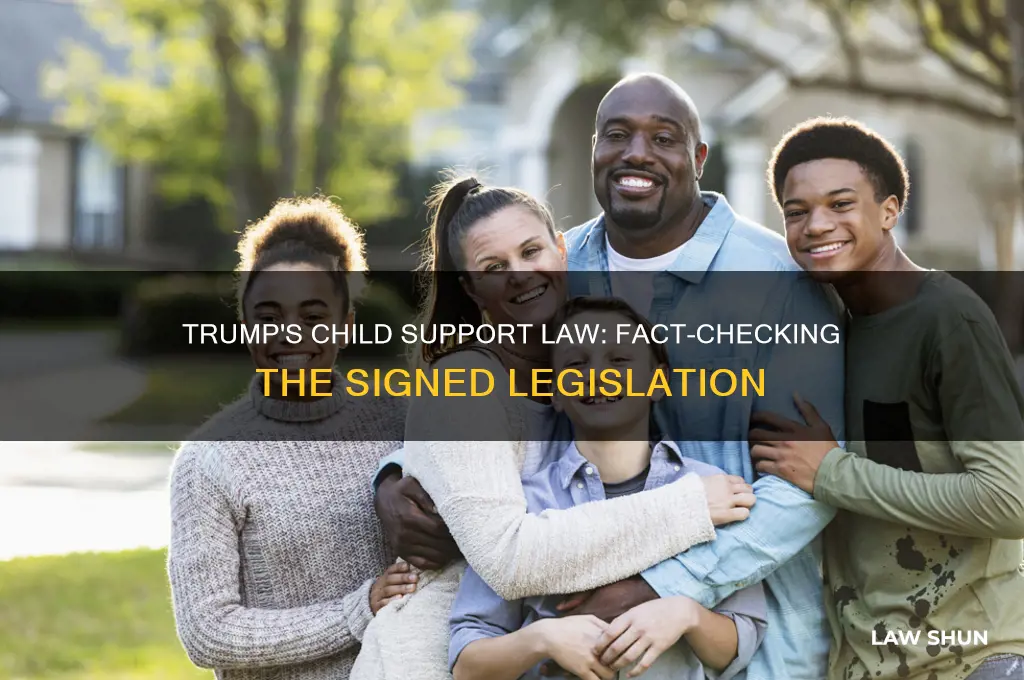 did trump sigb a law for child support