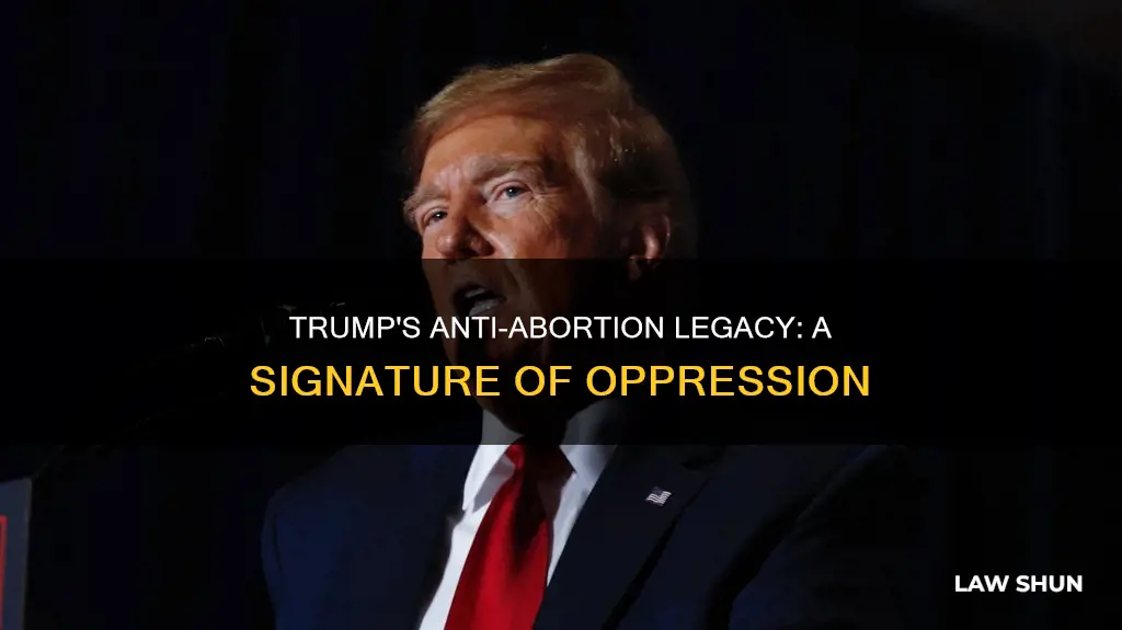 did trump sign on anti-abortion law