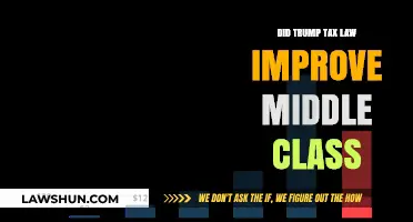 Trump's Tax Cuts: Boon or Bane for Middle Class?