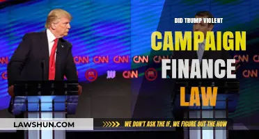 Unraveling the Allegations: Trump's Campaign Finance Law Controversies